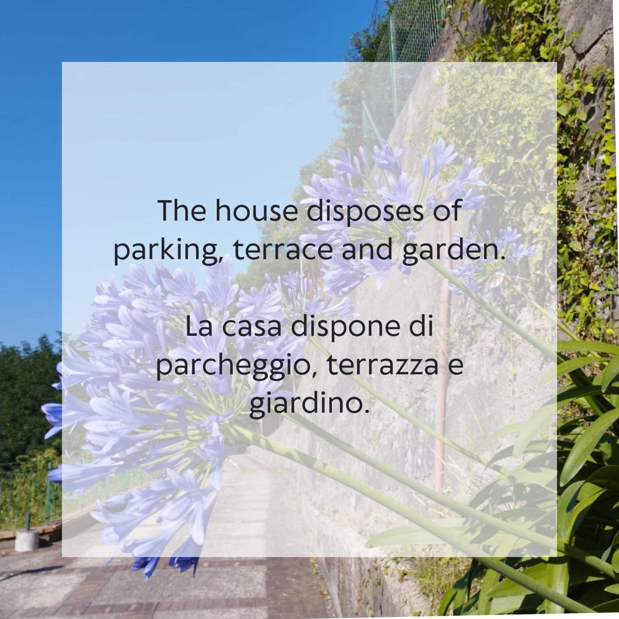 Villa Vicinus - 120 Mq - Parking - Garden Vietri Eksteriør bilde