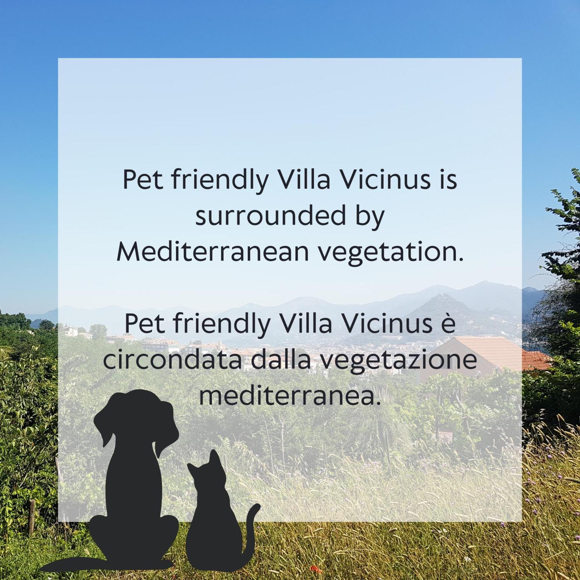 Villa Vicinus - 120 Mq - Parking - Garden Vietri Eksteriør bilde